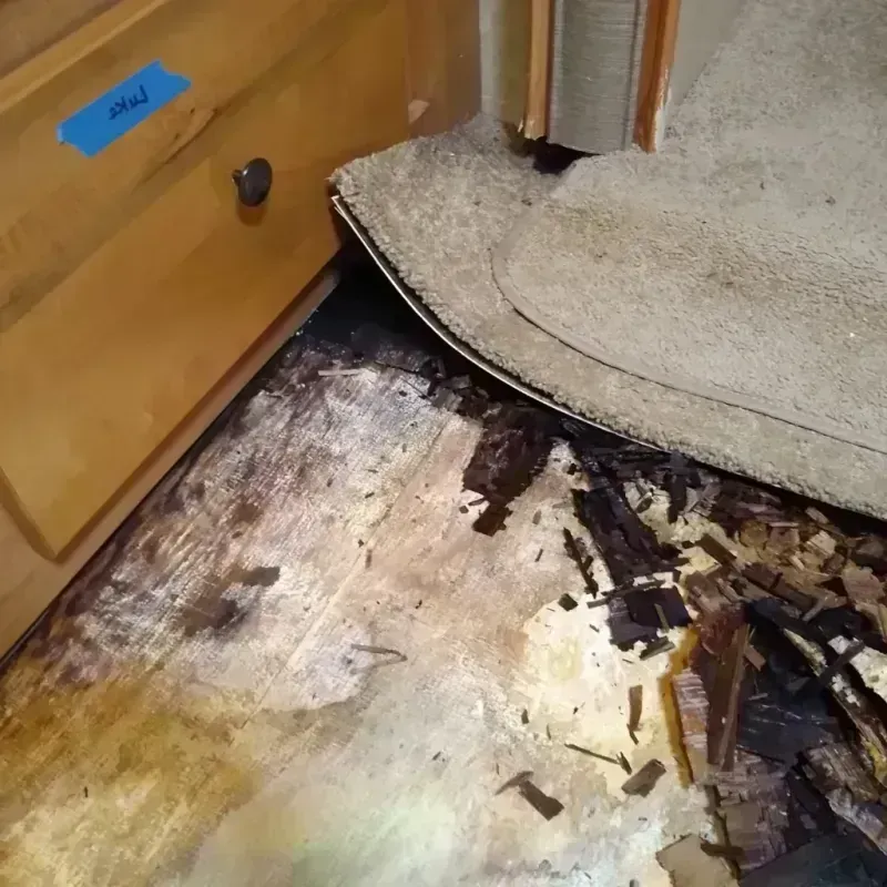 Wood Floor Water Damage in Greenwood, IN